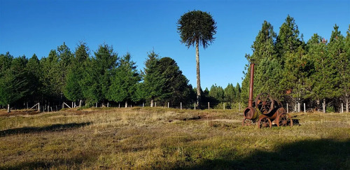 Agrícola En Venta En Temuco