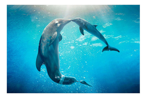 Vinilo 60x90cm Delfines Madre Hijo En El Agua Abrazo