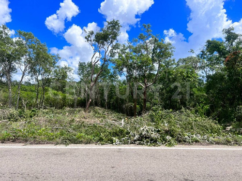 Terrenos De Inversión En Yucatán, Valladolid, México