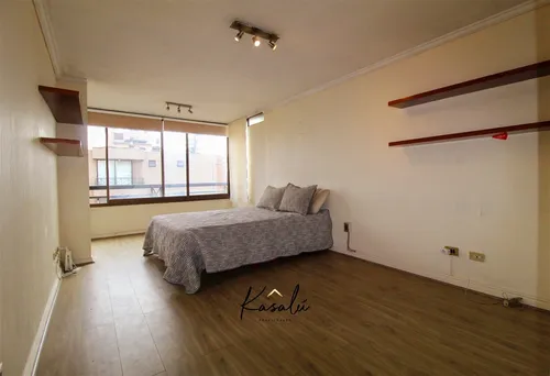 Departamento En Arriendo De 1 Dorm. En Providencia