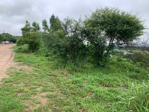 Venta + Terreno + Hectarea Sobre Ruta 1 Palpala