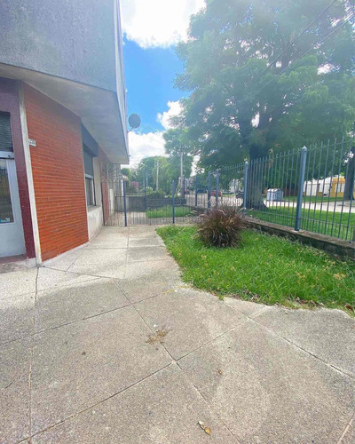 Imagen 3 de 7 de Local Comercial Para Alquilar