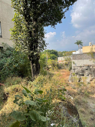 50 M2 Sobre Av Teopanzolco, 2 Frentese - Ine-641-tco
