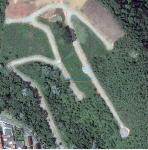 Imagem 3 de 7 de Terreno À Venda, 1088 M² - Paineira - Teresópolis/rj - Te0476