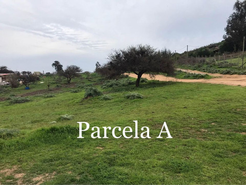 Se Vende Terreno Sector Los Laureles, Limache
