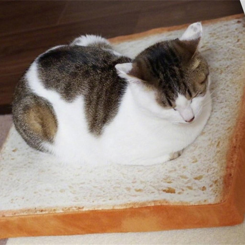 Caja De Almohadilla De Cojín Diseño De Pan Tostada Para