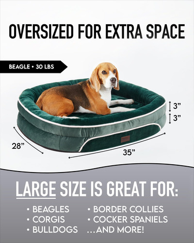 Cama Ortopedica Para Perro De Raza Grande Transpirable Verde