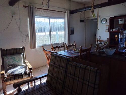 Imagen 4 de 11 de Venta Chacra De 4,5 Has En Aigua