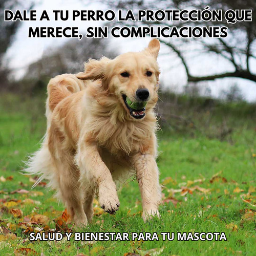 Fiprotect Perros Para 40kg O Más Pipeta Antipulgas