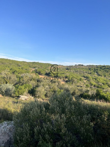 Imagen 2 de 3 de En Venta Chacra De 5 Has En Las Cañas