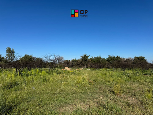 Venta De Lote En Cortaderas- Aguada De Pájaros