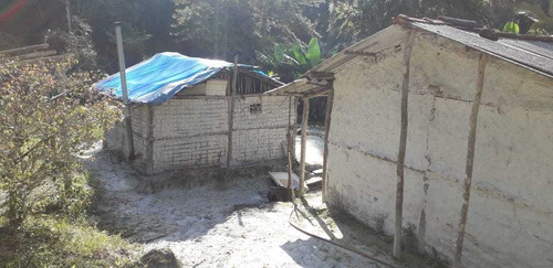 Imagem 2 de 10 de Fazenda Com 256 Alqueires Ideal Para Compensação Ambiental