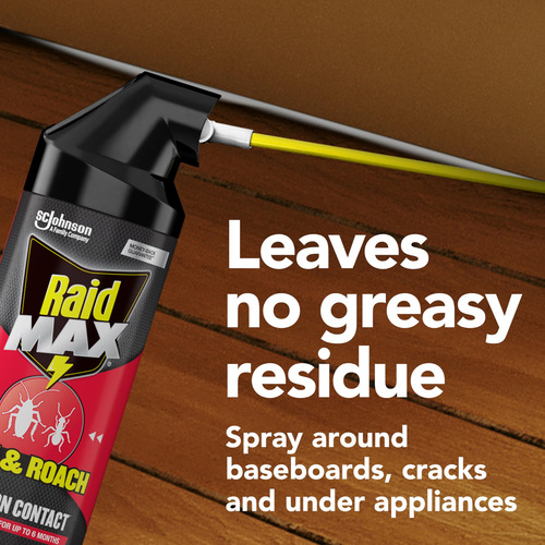 Raid Spray Max Para Hormigas Y Cucarachas 410 Ml 1 Unidad
