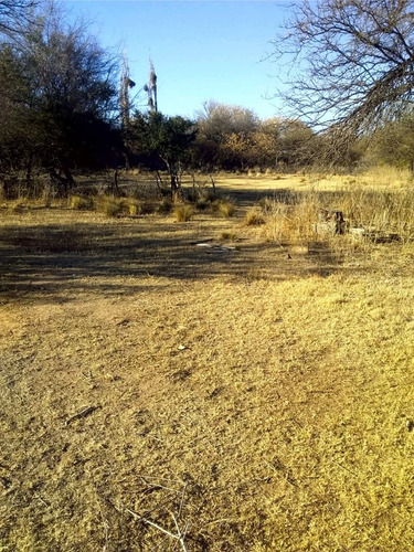 Campo De 593 Has En Puerto Alegre, San Luis