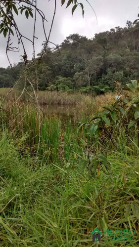 Imagem 1 de 9 de Terreno Com Lagoa Em Bom Jesus Do Amparo - 3020