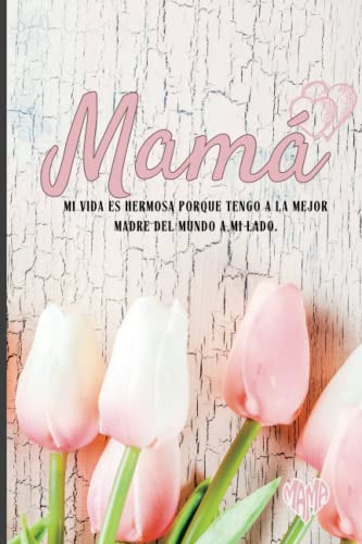 Diario De Una Mama : La Mejor Madre Del Mundo : Diario Y Lib