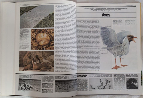 Enciclopédia: O Mundo Do Conhecimento, Em 5 Volumes