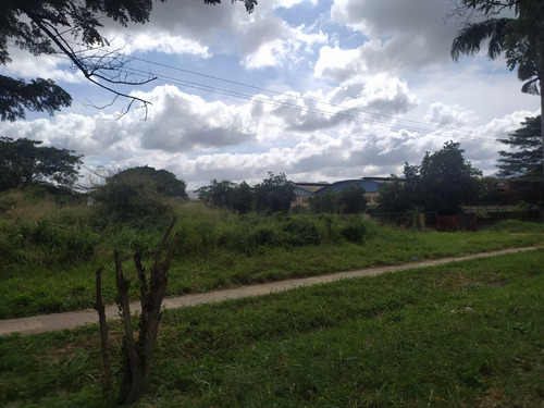 Imagen 5 de 8 de Terreno Vía Cúa-san Casimiro, Sector Aparay, Estado Miranda