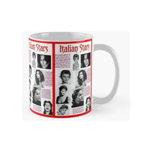 Taza Estrellas Italianas De Hoja Perenne Calidad Premium