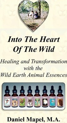 Libro Into The Heart Of The Wild (healing And Transformat...