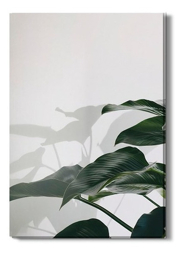 Quadro Folhas De Planta Fotografia Sombra Canvas 60x40cm Cor Colorido Cor da armação Chassi