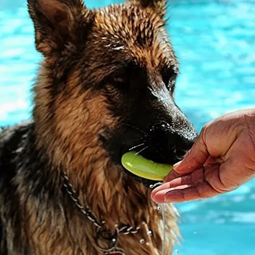 Juguetes Para Perros Skip Nn Fetch | Stonne Skipping Se Encu