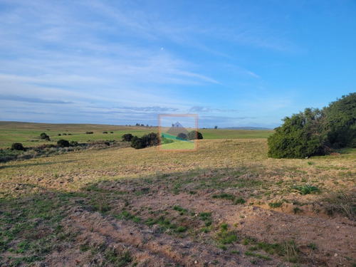Imagen 19 de 26 de 70 Hectáreas De Campo Ganadero Corte De La Leña