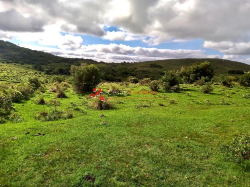 Venta - Campo 78 Hectareas En Garzon