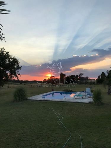 Imagen 4 de 27 de Chacra Muy Cerca De Ruta 104 Y Camino Egusquiza, Casa Y Piscina. Consulte!!!! - La Barra Camino Eguzquiza