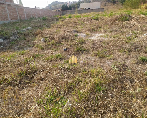 Imagem 6 de 6 de Lote Em Condominio Fechado Em Esmeraldas - Te00419 - 70076587