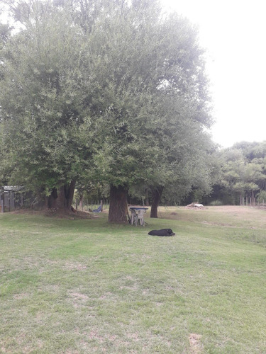 Venta De Casa En Uruguay