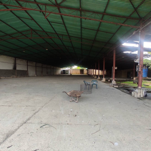 Imagen 5 de 14 de Galpón En Venta Zona Industrial Tinaquillo