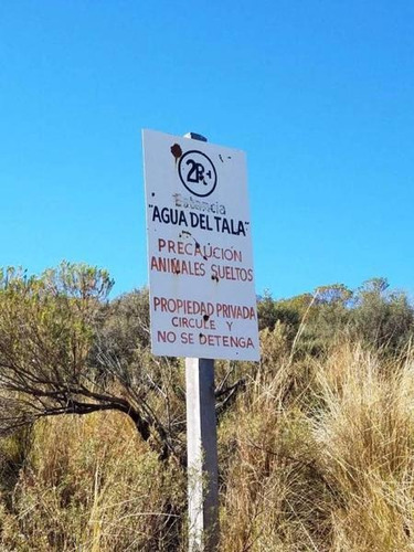 Imagen 8 de 22 de Traslasierra - Estancia Aguas Del Tala - Pueblo Ambul - Pampas Del Pocho - 383has Cercadas A La Venta En Una Zona De Crecimiento Constante - Mina Clavero - Cordoba