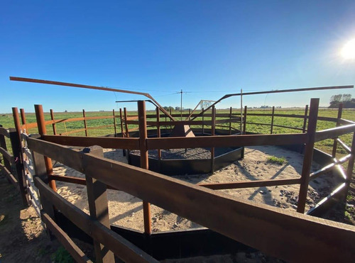 Imagen 3 de 26 de Quinte En Venta - 5 Dormitorios 3 Baños - 37ha Totales - Campo Funke