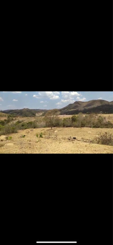 Imagem 9 de 13 de Fazenda Montada Pra Pecuária Município Unai