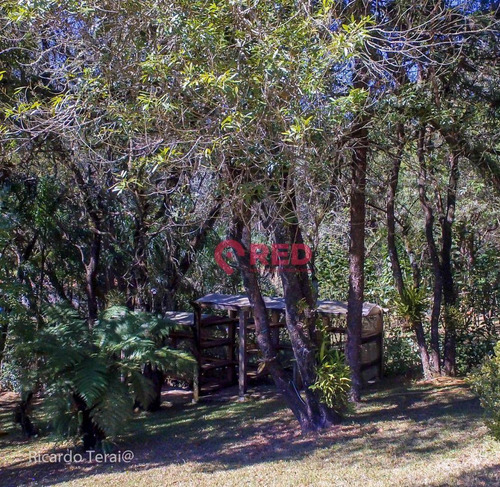 Imagem 3 de 30 de Magnifica Casa Na Represa Em Ibiuna - Ca0663