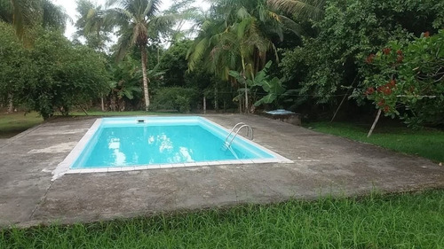 Imagem 3 de 30 de Chácara À Venda Na Ponta Da Pita, Por R$ 400.000 - Antonina/pr - Ch0145