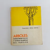 Comprar Arboles Ornamentales Y Otras Plantas De Trópico Oliva Esteva