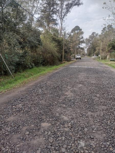 Imagen 3 de 10 de Terreno - La Bota