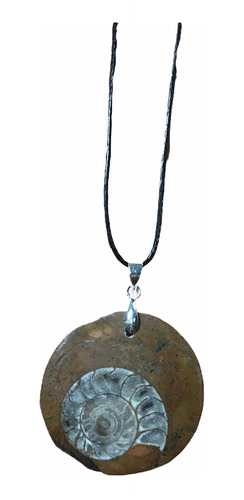 1 Dije De Ammonite Ammonita Auténtico Con Collar Ujm