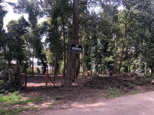 Terreno En Bosque Peralta Ramos