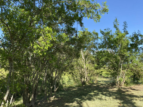 Venta Lote En Estancia Carabassa