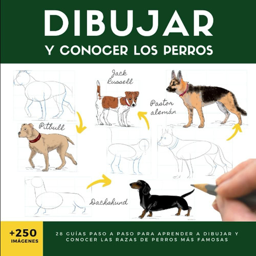 Libro: Dibujar Y Conocer Los Perros: 28 Guías Paso A Paso Pa