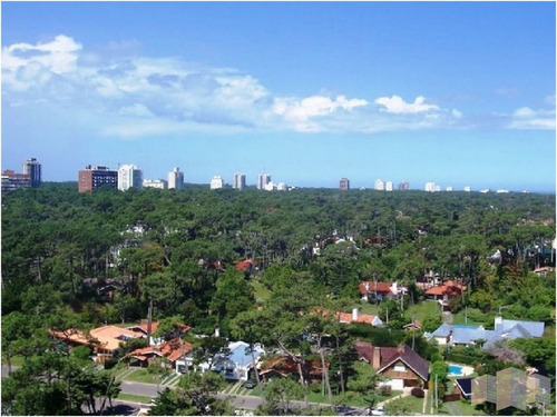 Imagen 25 de 30 de Apartamento En Punta Del Este, Mansa