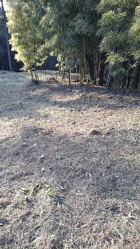 Imagem 9 de 13 de Chácara - Borda Do Campo