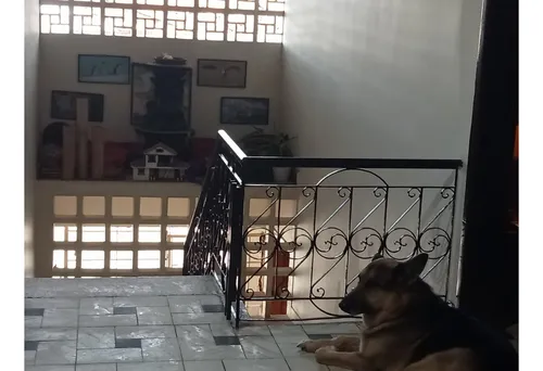 Venta De Casa De 350mt2 En El Templete, Sur De Cali 8412.
