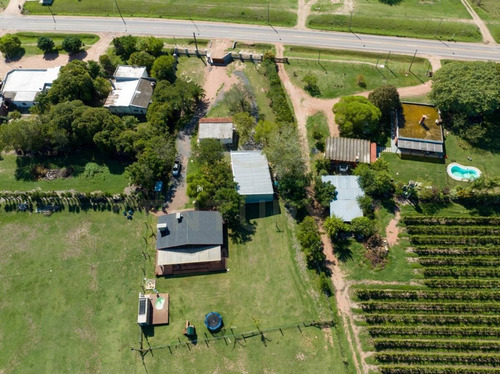 Imagen 3 de 27 de Descubre Una Propiedad Única En El Colorado, Canelones: 2 Casas, 4 Ha Y Galpón