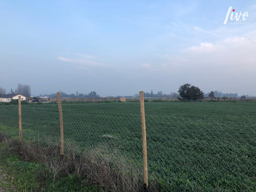 Vendo Sitio En Santa Eliana Chicureo