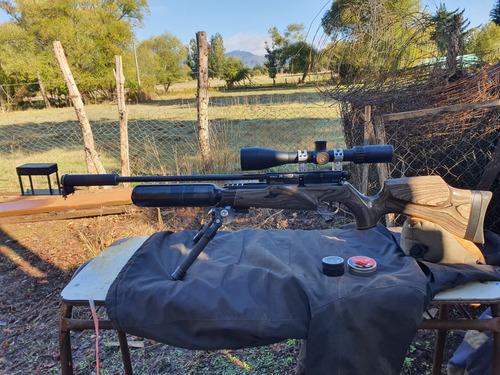 Rifle Pcp Bsa R10 Laminado 5.5 Usado 