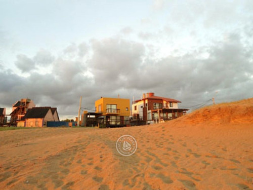 Lobos De Mar En Punta Del Diablo